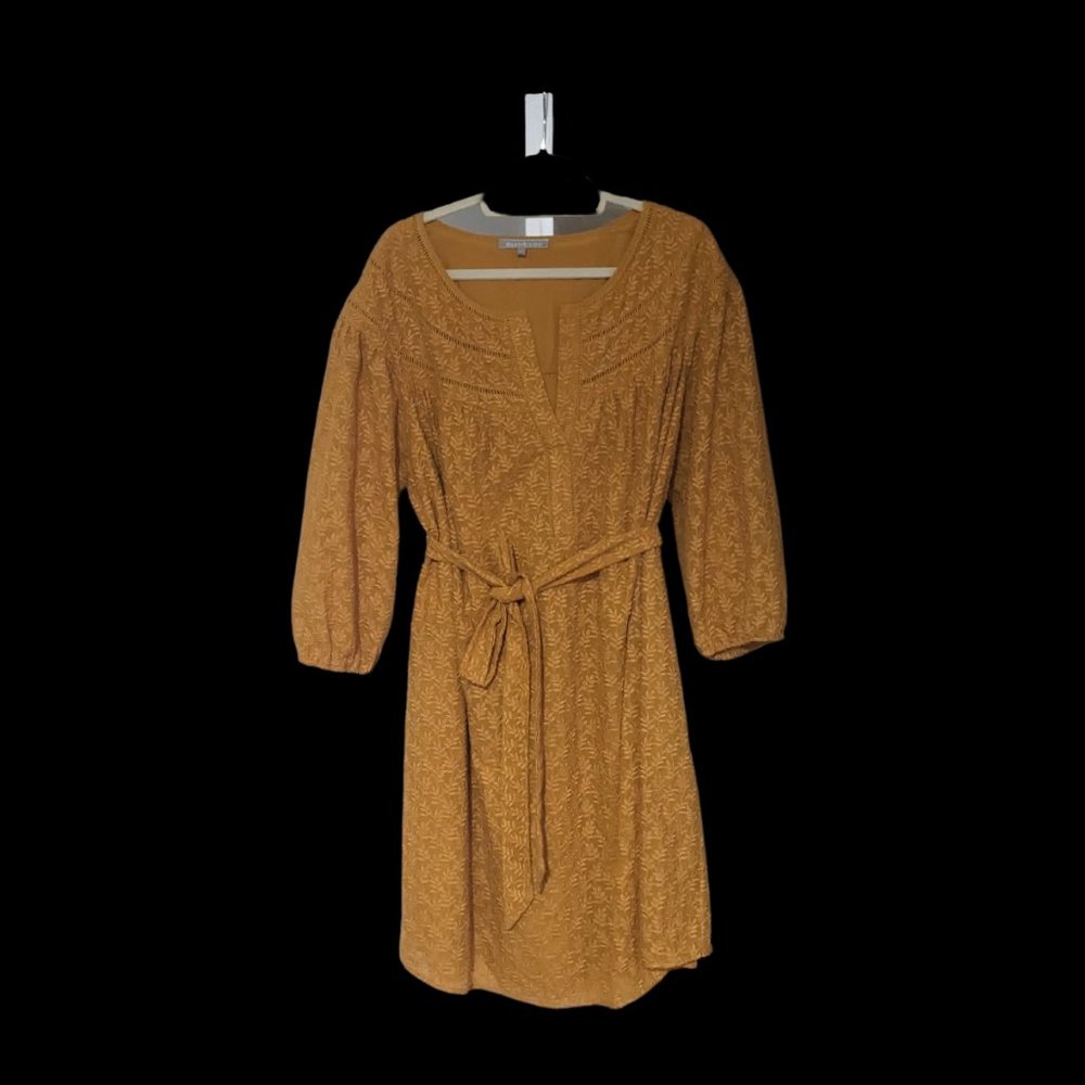 Embroidered mustard dress